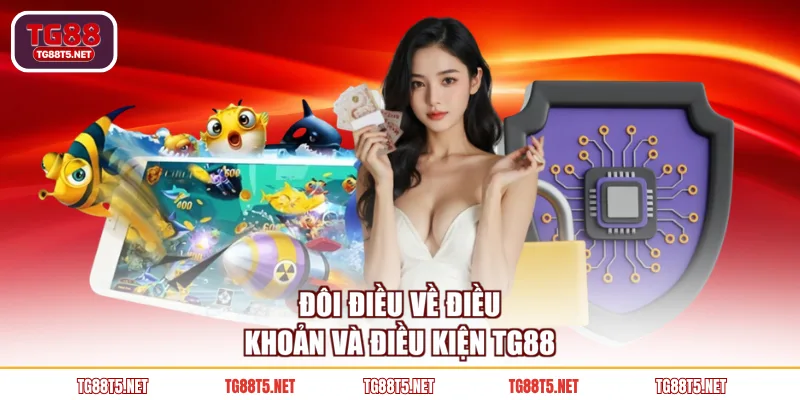 Đôi điều về điều khoản và điều kiện TG88